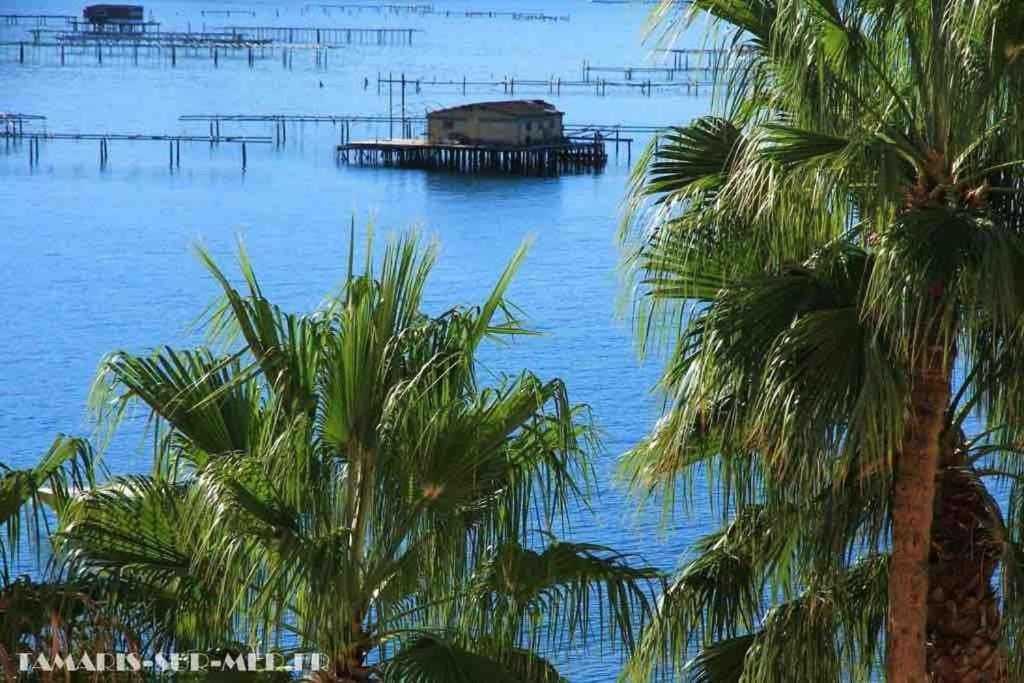 Appartement Les Pieds Dans L'Eau à La Seyne-sur-Mer Extérieur photo